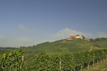 Wall Mural - Weinberge in der Ortenau