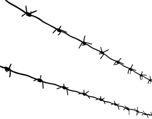 Wall Mural - silhouette of the barbed wire on white background