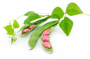 Ripe Haricot Beans with Seed and Leaves Isolated on White