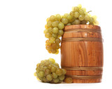 Fototapeta  - Barrel with white grapes