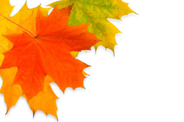 Sticker - autumn background