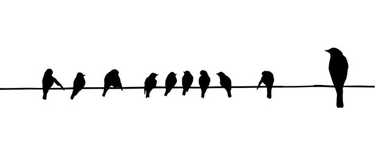 Wall Mural - birds on wire