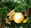 © Natallia Vintsik - Weihnachten