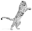 black and white tiger vector