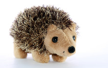 Toy Hedgehogs