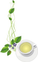 Wall Mural - Cup with tea and sprigs. Vector