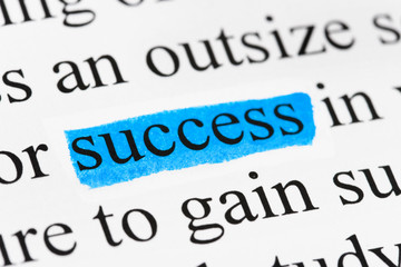 Canvas Print - Word success in text