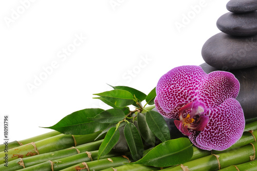 orchidea-z-kamieniami-i-bambusem