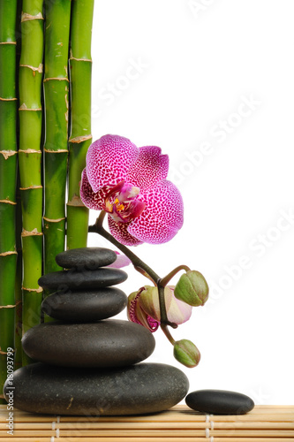 Naklejka na drzwi Orchidea z bambusem