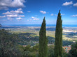 Landscape view. Selva di Fasano. Brindisi. Puglia.