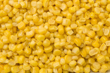 Golden Sweetcorn Grains