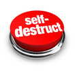 Self-Destruct - Red Button