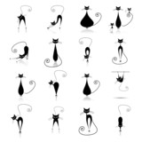 Fototapeta Koty - Black cats silhouette for your design
