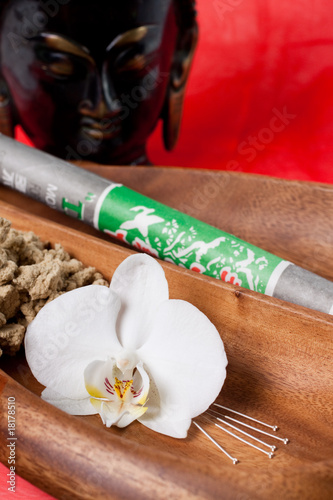 Fotografie, Obraz Orchid flower with accupuncture needles and Moxa