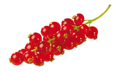 Poster - Rote Johannisbeeren