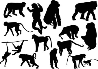 Wall Mural - fifteen monkey silhouettes