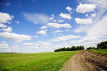 Wall Mural - field road