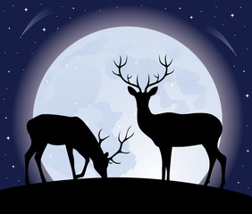 Wall Mural - Two deers,