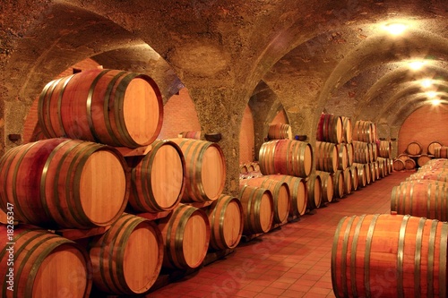 Fotomural Weinkeller, Eichenfässer, Montalcino Toskana, Italien