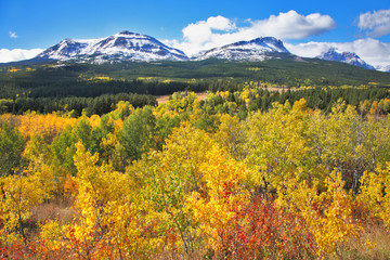 Sticker - Mellow autumn. The trees with yellow and red foliage