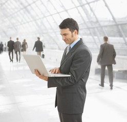 Wall Mural - Businessman using laptop computer