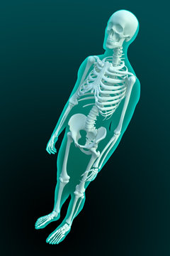 3D rendering of a male figure with visible skeleton structure