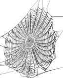 160_f_18363759_swbdfobt4j3n1drpvtsquyztr9irpoox