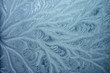 © Asparuh Stoyanov - winter ice backgorund