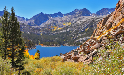 Canvas Print - The fur-trees and mountain lake