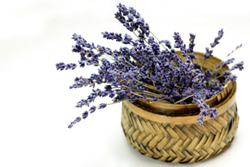 Wall Mural - lavender