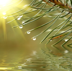 Poster - Water drops reflected in the water.