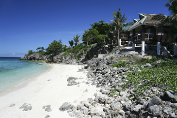 Canvas Print - malapascua beach resort