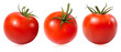 Photorealistic vector illustration. Tomatoes.