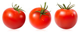 Fototapeta Kuchnia - Photorealistic vector illustration. Tomatoes.