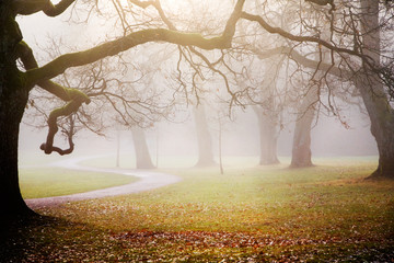 Canvas Print - Autumn