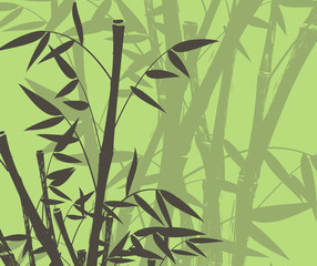 Wall Mural - bamboo background75