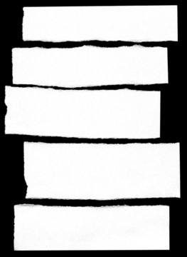 Pieces of paper