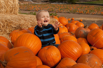 young boy in a pumpkin patch