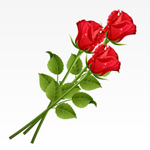 Three Red Roses On A White Background