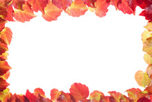 Rectangle Border Of Red And Yellow Vines Leaves