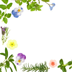 Sticker - Flower and Herb Leaf Border