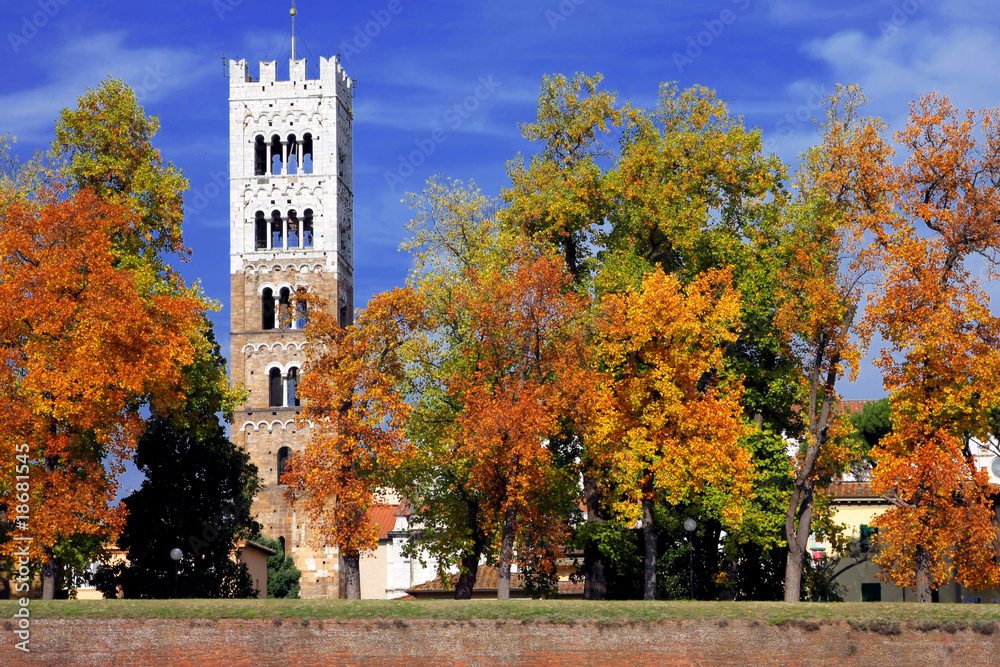 A bell tower of Lucca - obrazy, fototapety, plakaty 