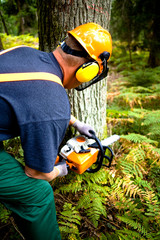 Canvas Print - lumberjack