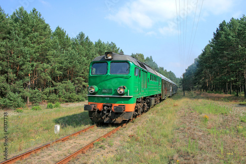 Fototapeta na wymiar Passenger train passing through the forest