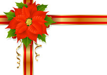 Christmas Flower, Holly And Ribbons