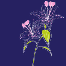 Dark Blue Background With Lily Flowers