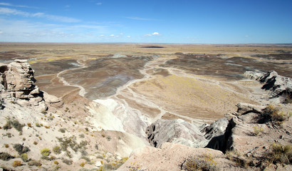 Wall Mural - An Aerial View of Petrified Forest National Park