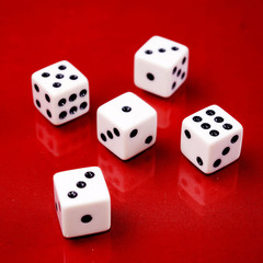 playing dice