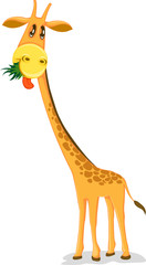 Poster - giraffe eating leaf