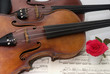 Viola, violino, flauto traverso e rosa